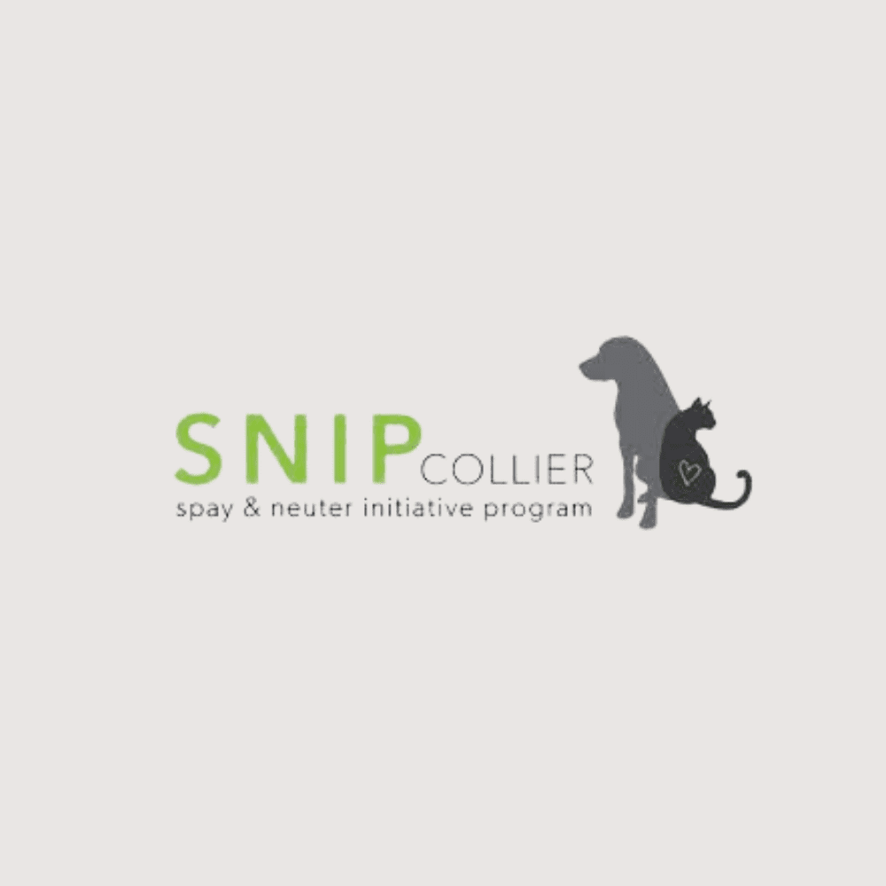 SNIP Collier